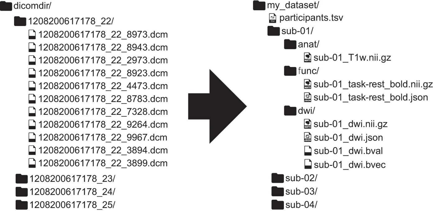 Illustration of a BIDS structured dataset